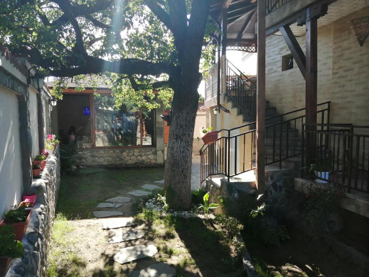 Dariya Guest House 사파레바바냐 외부 사진