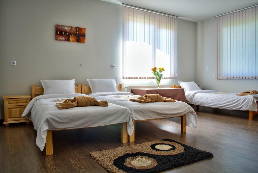 Dariya Guest House 사파레바바냐 객실 사진