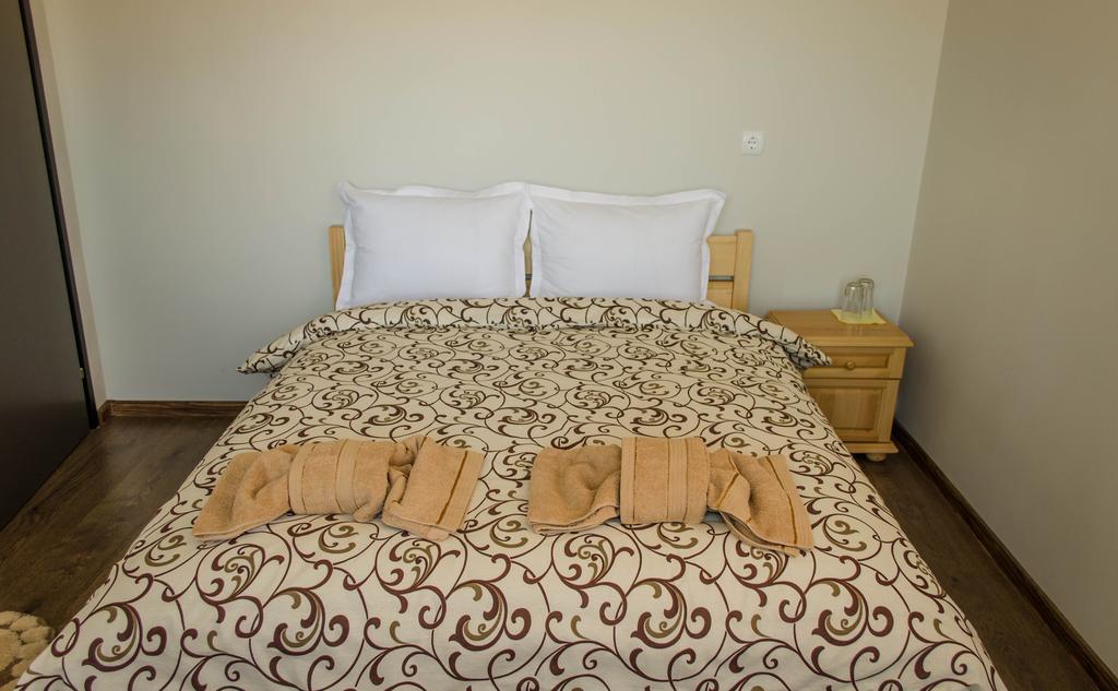 Dariya Guest House 사파레바바냐 객실 사진